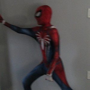 authentic spiderman costume